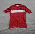 Acelera Cycling Shirt, Ophalen of Verzenden, Nieuw, Kleding