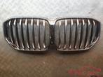 BMW X5 G05 CAMERA GRILL ORIGINEEL, Ophalen of Verzenden, Gebruikt, BMW