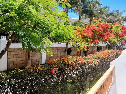 Zeer mooi appartement Tenerife Costa Adeje Playa fanabe, Immo, Appartementen en Studio's te huur