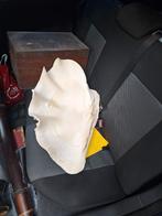 Grote zeeschelp, grote oude Tridacna Gigas,, Ophalen of Verzenden