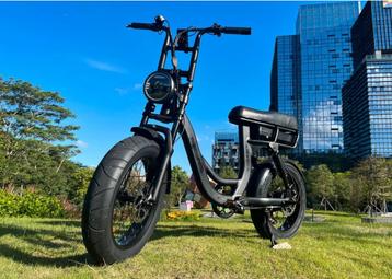 EV-fiets elektrische fiets  beschikbaar voor biedingen
