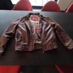 Lederen vintage Daytona 73 jas, Motoren, Kleding | Motorkleding, Ophalen