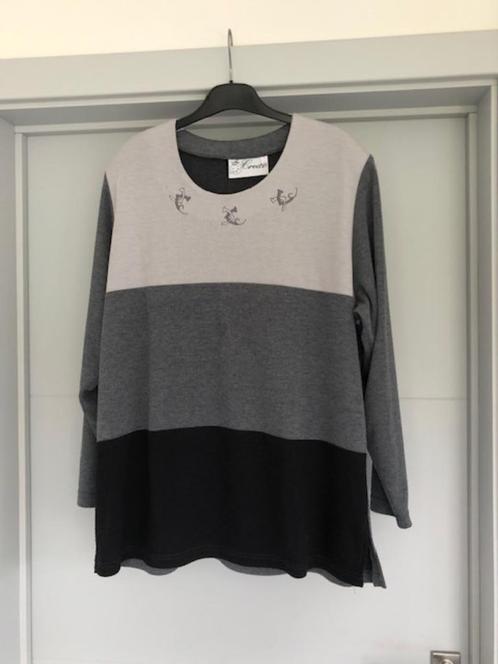 Pull maat 50, Kleding | Dames, Truien en Vesten, Zo goed als nieuw, Maat 46/48 (XL) of groter, Grijs, Ophalen of Verzenden