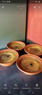 Royal flame, Enlèvement