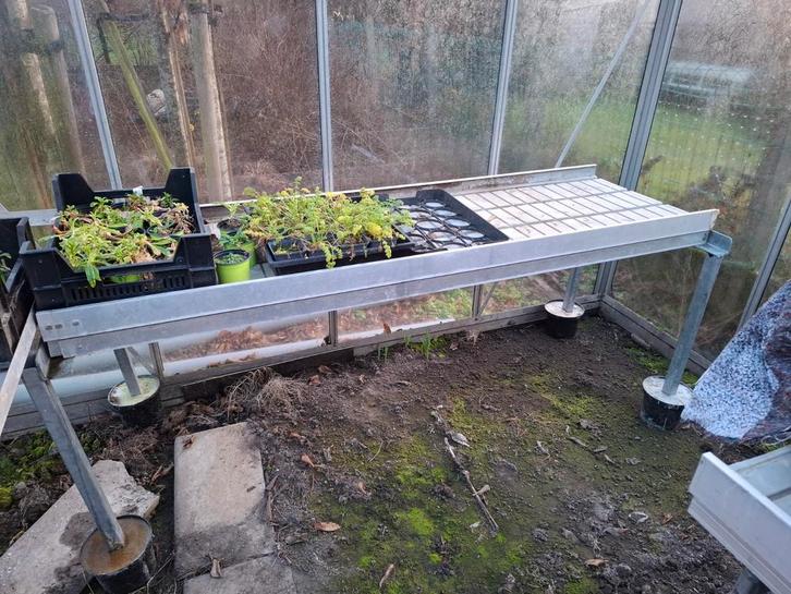 Table de culture, tablette pour serre, Jardin & Terrasse, Produits de culture, Table de culture, Enlèvement