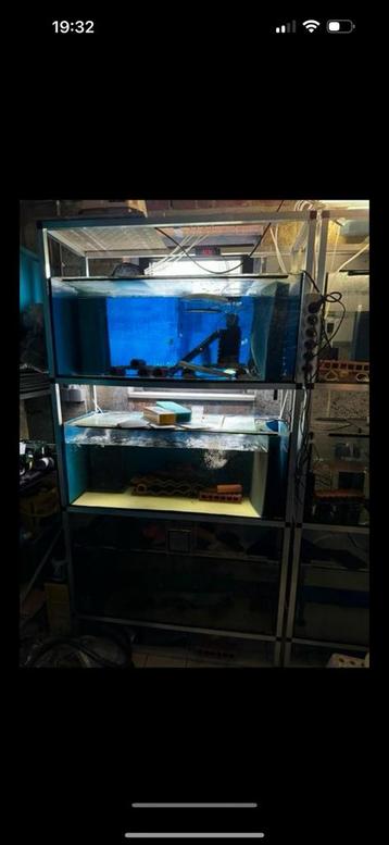 3x Aquarium met aluminium stelling disponible aux enchères