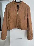 Nieuwe leren jas Caroline Biss, Kleding | Dames, Beige, Nieuw, Ophalen of Verzenden, Maat 36 (S)