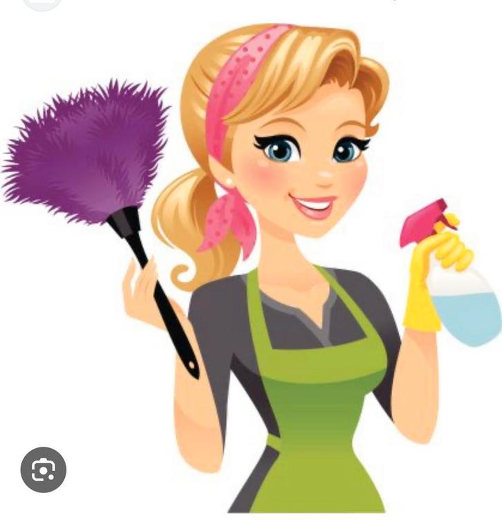 Poetshulp & Strijkdienst (Regio Kortrijk)/, Vacatures, Vacatures | Thuiswerk, Vanaf 3 jaar, Overige vormen, Variabele uren