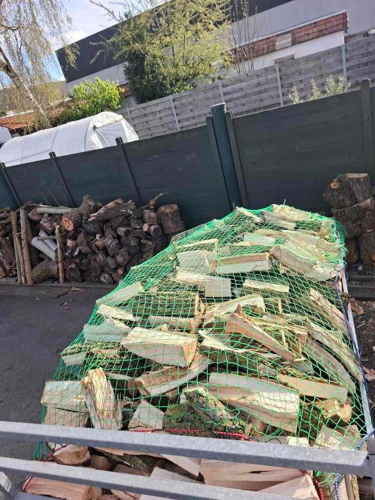 Brandhout, Jardin & Terrasse, Bois de chauffage, Enlèvement ou Envoi