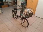 Vélo pliable avec panier pour chien., Enlèvement