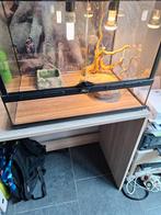 Terrarium, Enlèvement, Comme neuf, Terrarium ou Paludarium