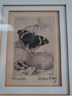 Renaat Veris gravure Vlinder, Ophalen of Verzenden