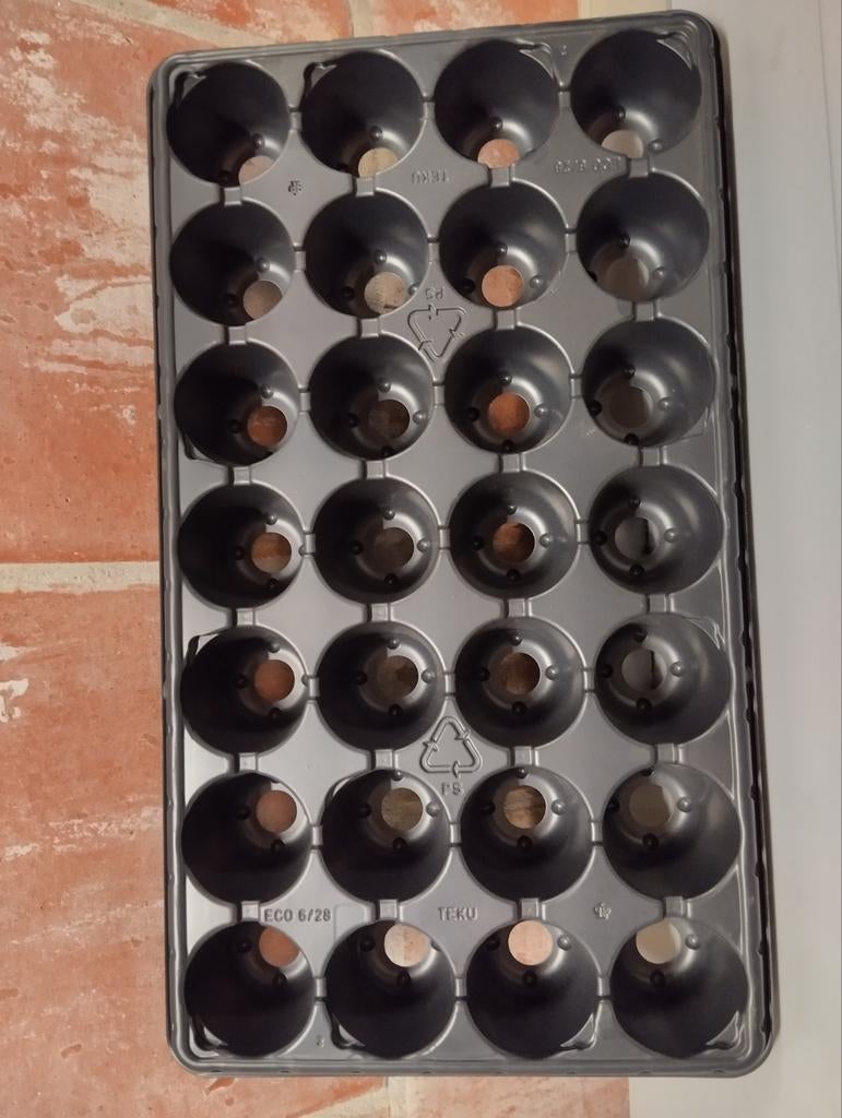 Boîtes d'élevage Teku Eco 6/28 - 62 boîtes disponibles, Enlèvement ou Envoi