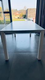 Eettafel, Huis en Inrichting, Tafels | Eettafels, Ophalen, Gebruikt, 50 tot 100 cm, Vijf personen of meer