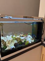 Nieuw aquarium van 70 liter met pomp/verwarming/lamp, Dieren en Toebehoren, Ophalen, Nieuw, Leeg aquarium