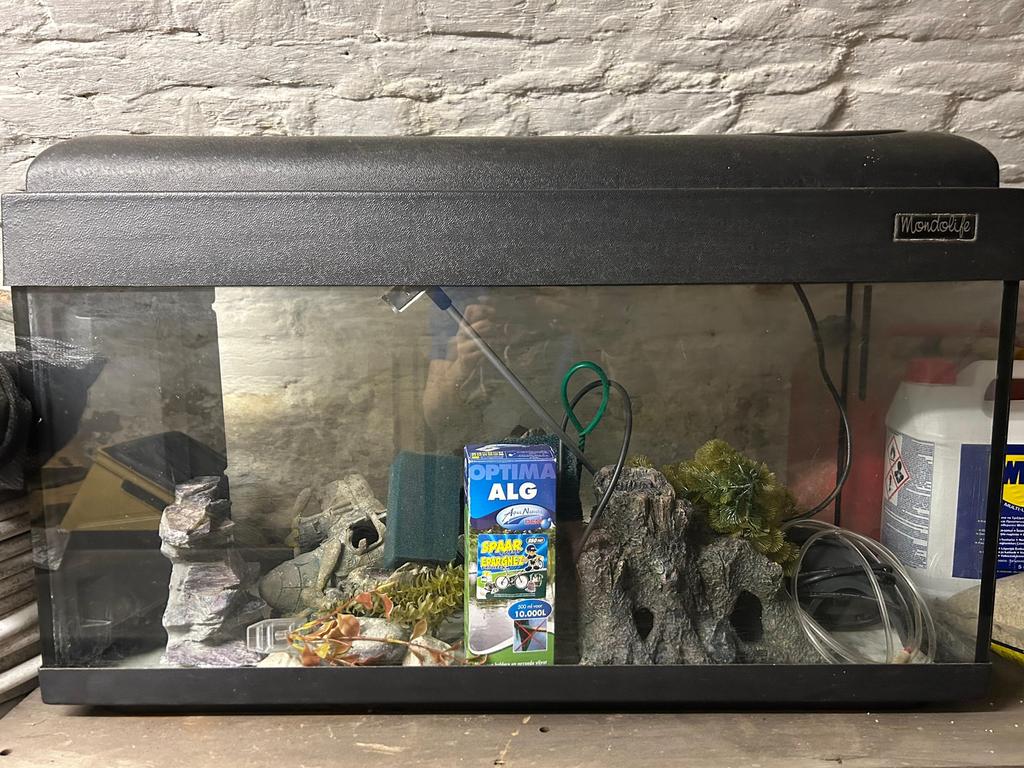 Visbokaal met toebehoren, Enlèvement, Couvercle inclus, Utilisé, Aquarium vide