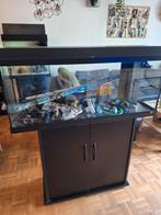 Aquarium Juwel 100x30x40cm, Animaux & Accessoires, Poissons | Aquariums & Accessoires, Enlèvement, Pompe, Juwel
