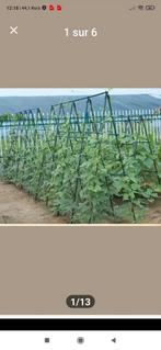 Serre pour légumes ou fruits, Enlèvement
