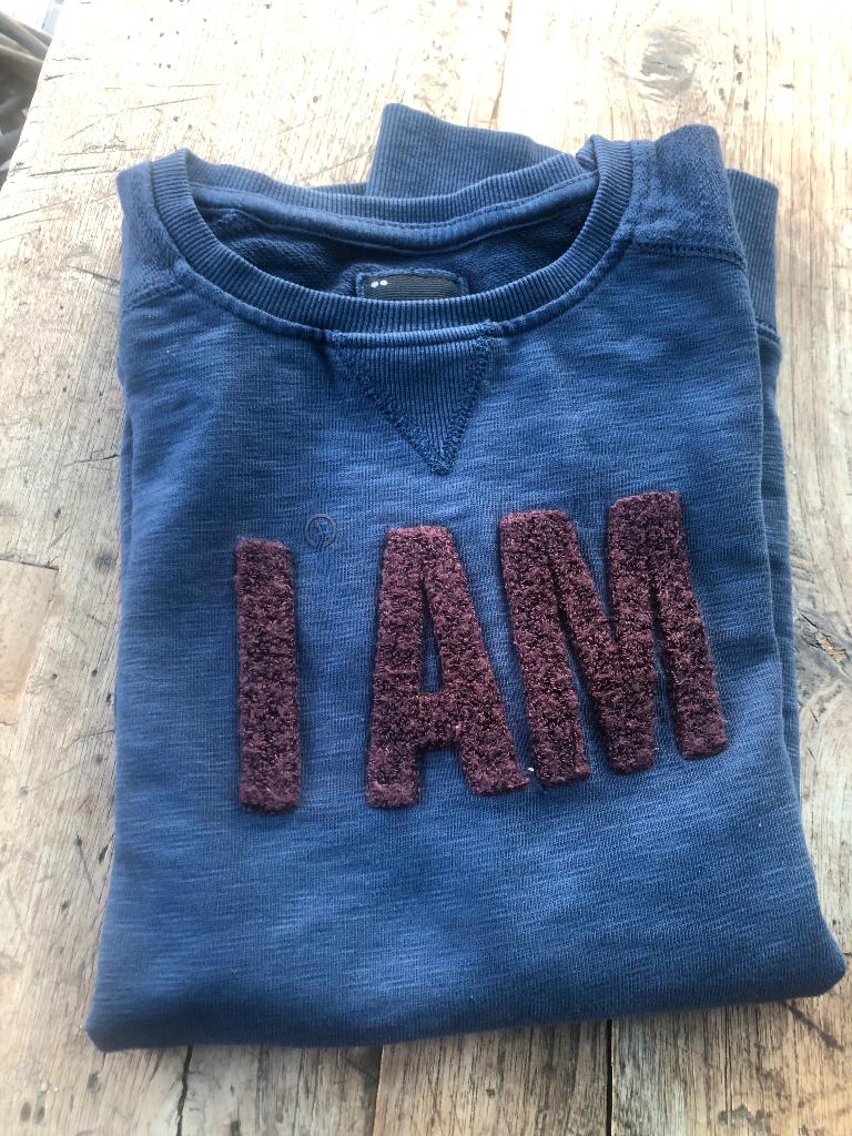 Sweater JBC maat 146, Kinderen en Baby's, Kinderkleding | Maat 146, Ophalen of Verzenden, Zo goed als nieuw