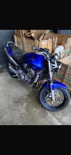 Honda cb 900 hornet, Motoren, Particulier