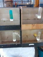 Duitse kuif, Dieren en Toebehoren