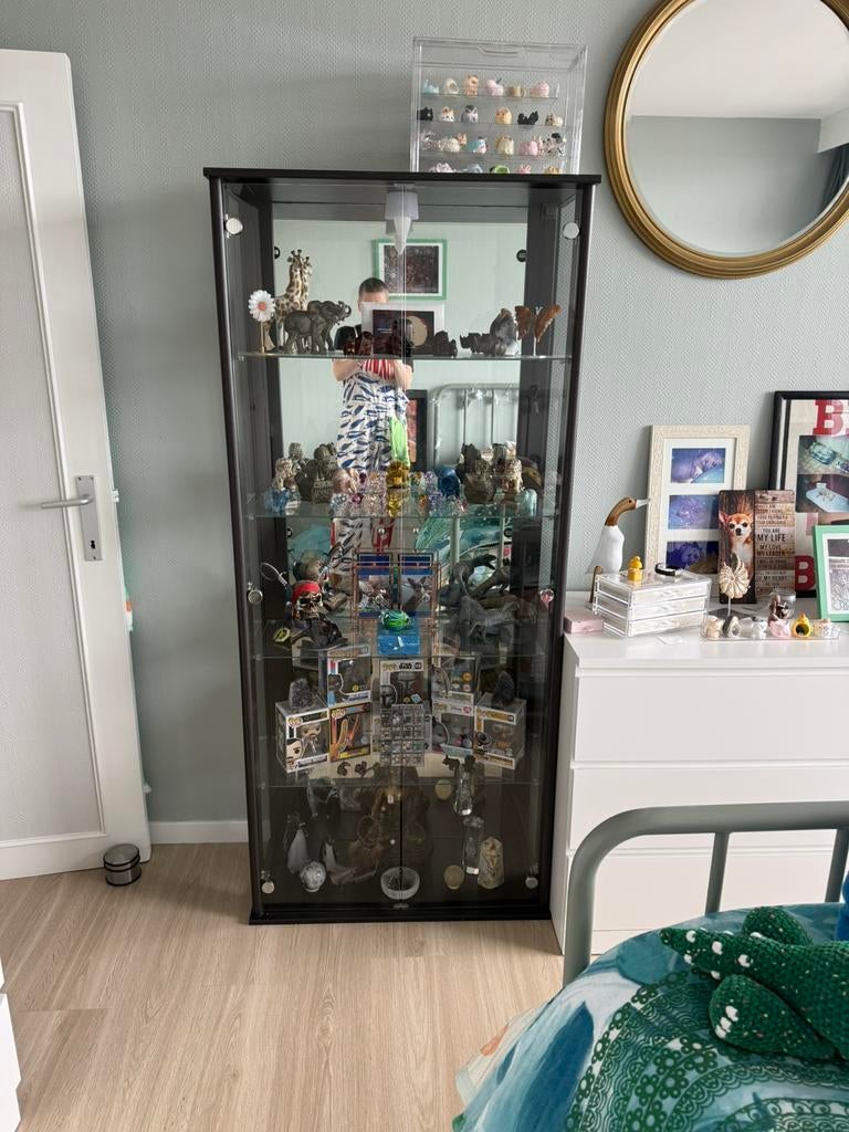 Vitrinekast, Maison & Meubles, Accessoires pour la Maison | Paravents d'intérieur, Enlèvement, Comme neuf