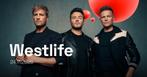 Westlife 25 concert  Lotto Arena Antwerpen 24 november 2026, Eén persoon, November