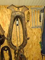 Haam, Ophalen, Gebruikt, Overige soorten