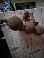 Ww2 zuurstof bollen  duits vliegtuig Fockke Wulf opgraving, Ophalen of Verzenden