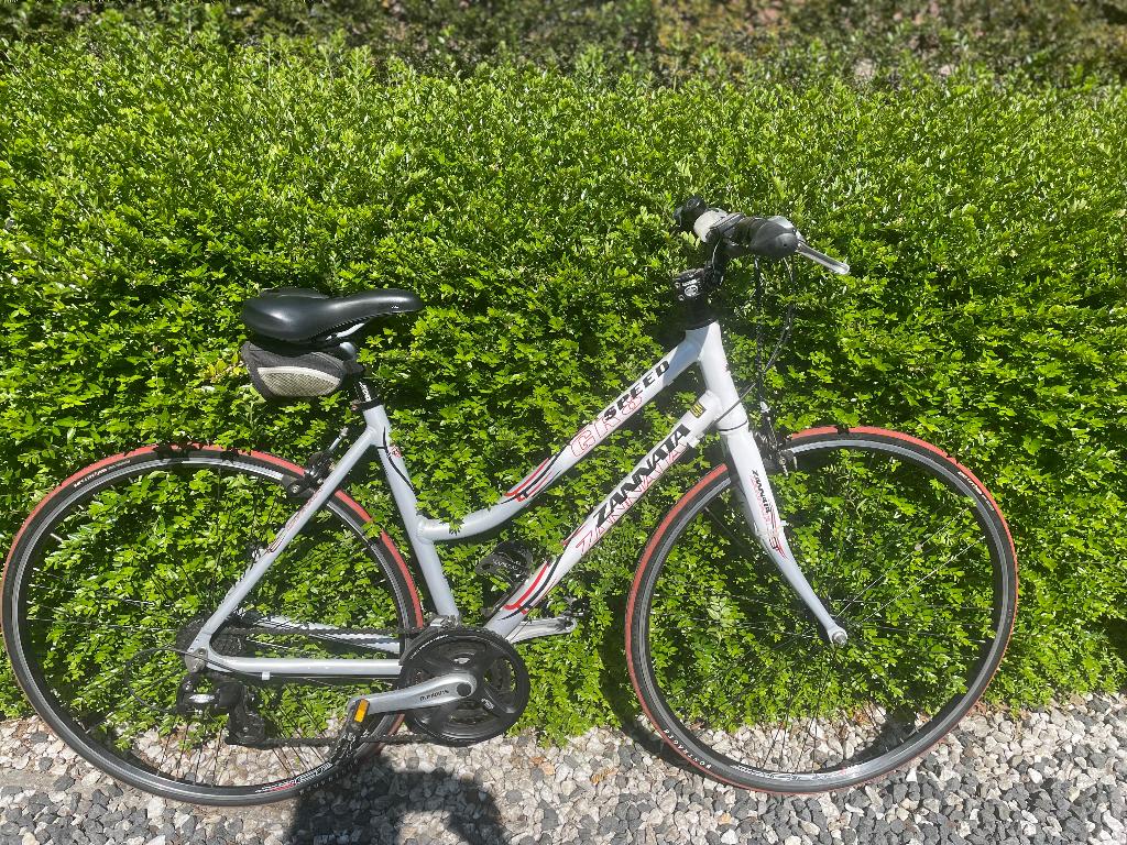 Koersfiets dames, Fietsen en Brommers, 28 inch, Gebruikt, 10 tot 15 versnellingen, Velgrem