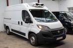 Fiat Ducato L2H2 FRIGO 2022 ZANOTTI Feuille Rose C-onderhoud, Auto's, 4 deurs, Stof, Wit, Particulier