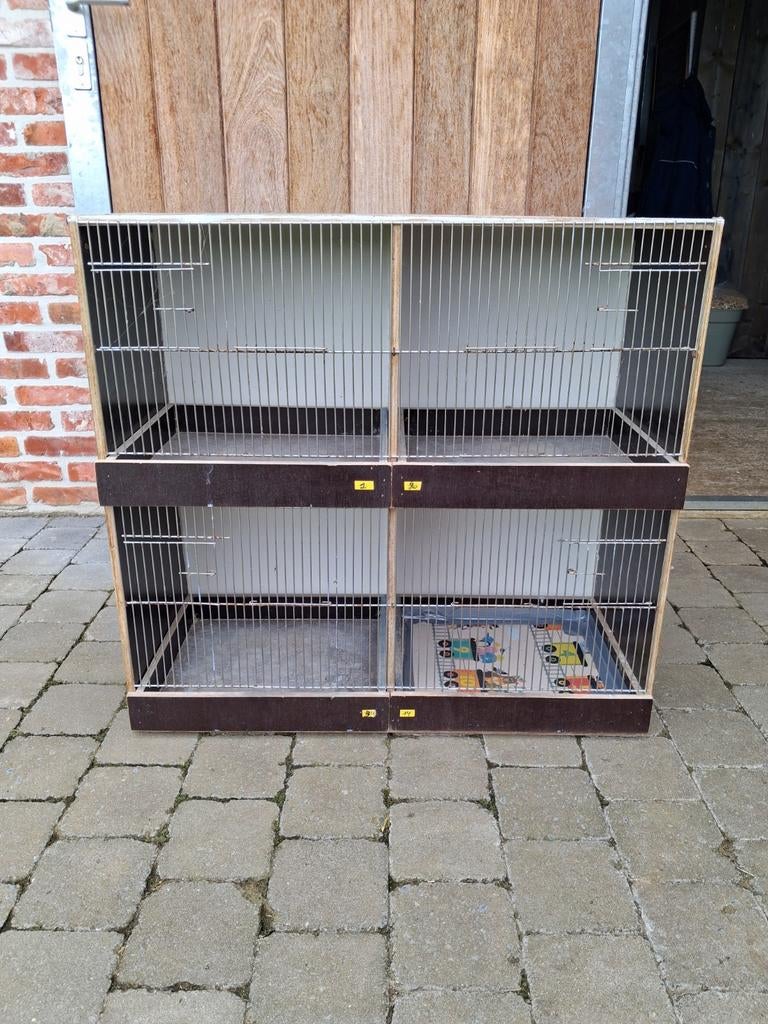 Kweektoren ( kweekkooien ) kanaries, zebravink of exoten, Ophalen