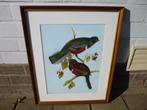 Trogon Collaris, naar een werk van Gould., Antiek en Kunst, Ophalen