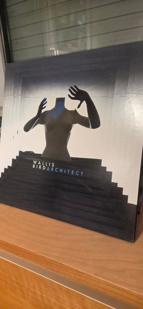 Wallis Bird. Architect. 2 lp., Ophalen
