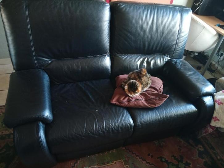 Leder 2-zit met relax functie, Maison & Meubles, Canapés | Salons, Enlèvement