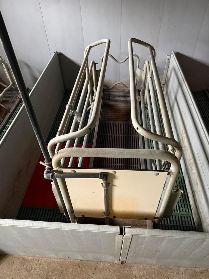 Kraamhokken, Dieren en Toebehoren, Schapen, Geiten en Varkens, Varken