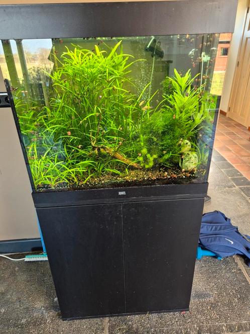 Juwel Lido 200 liter inclusief meubel, Dieren en Toebehoren, Vissen | Aquaria en Toebehoren, Zo goed als nieuw, Leeg aquarium