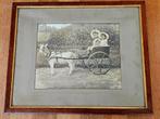 Vintage foto geitenkar, Gebruikt, Foto, Ophalen of Verzenden, 1940 tot 1960