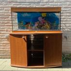 Aquarium met kast, Dieren en Toebehoren, Ophalen of Verzenden, Zo goed als nieuw