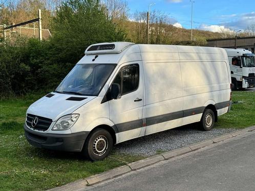 Mercedes-Benz Sprinter 313 CDI / FRIGO / PROBLÈME MOTEUR /, Auto's, Mercedes-Benz, Bedrijf, Te koop, Overige modellen, Diesel