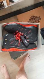 Nouvelles chaussures, Enlèvement, Neuf