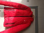 Veste hiver/ski superdry M, Ophalen, Maat 48/50 (M), Zo goed als nieuw, Jack
