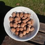 Noix fraîches BIO, Divers, Enlèvement