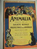 1928 uitgave Animalia asbl Dierenwelzijn voorloper Veeweyde, Boeken, Geschiedenis | Nationaal, Ophalen of Verzenden