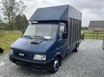 1996 Iveco paardenvrachtwagen, Auto's, Bestelwagens en Lichte vracht, Gebruikt, Iveco, Overige brandstoffen, Bedrijf