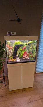 Aquarium Juwel 200, Dieren en Toebehoren, Ophalen