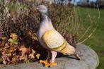 PIGEON EN FONTE PATINEE POLYCHROME, Enlèvement ou Envoi, Neuf