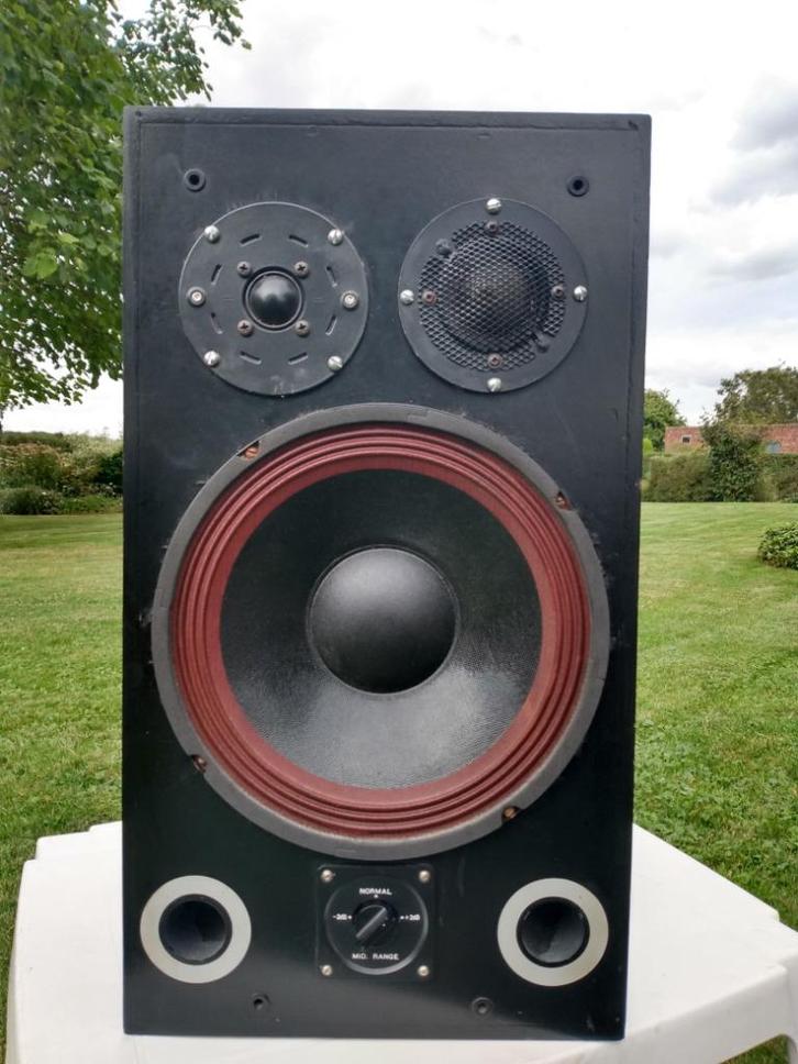 Hifi speakers met SEAS en Stage Line componenten: project, Audio, Tv en Foto, Luidsprekerboxen, Gebruikt, Front, Rear of Stereo speakers