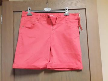Short esqualo maat 46 nieuw  beschikbaar voor biedingen