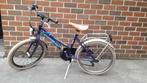 Meisjesfiets 20 inch te koop, Fietsen en Brommers, Ophalen, Gebruikt, 20 inch, Handrem